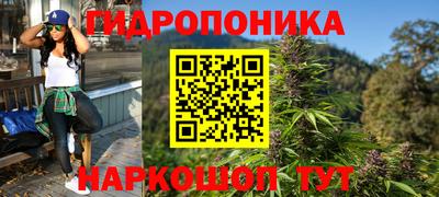 гидропоника Партизанск