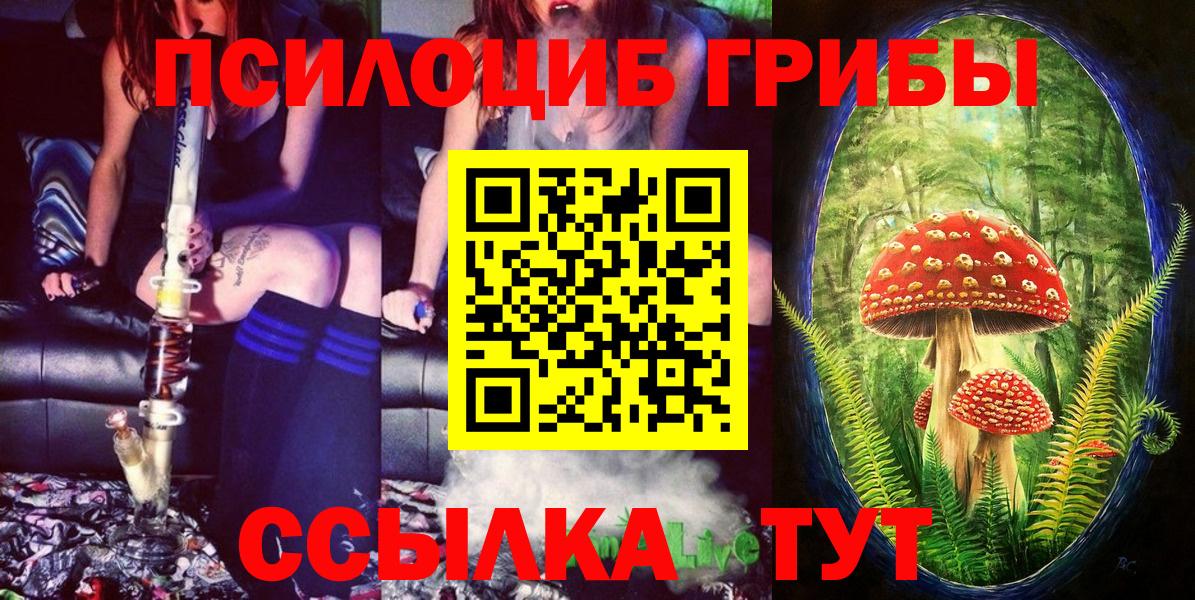 Галлюциногенные грибы Psilocybe Ржев