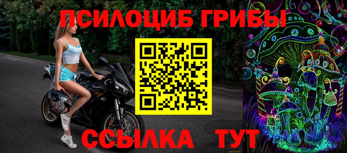 Ржев  Галлюциногенные грибы мицелий  Вход с VPN 